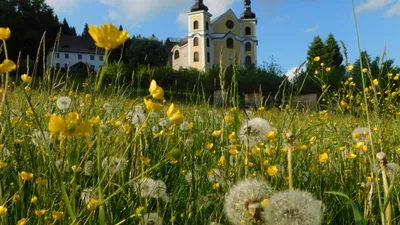 Sdružení Neratov, z.s.